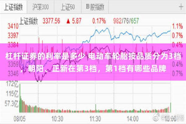 杠杆证券的利率是多少 电动车轮胎按品质分为3档，朝阳、正新在第3档，第1档有哪些品牌