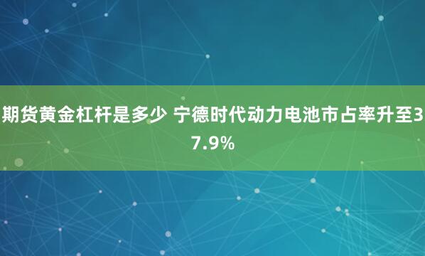 期货黄金杠杆是多少 宁德时代动力电池市占率升至37.9%