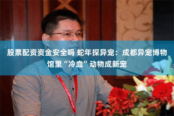 股票配资资金安全吗 蛇年探异宠：成都异宠博物馆里“冷血”动物成新宠
