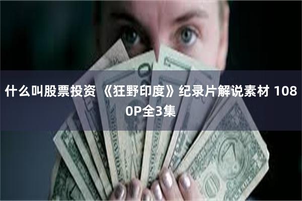什么叫股票投资 《狂野印度》纪录片解说素材 1080P全3集