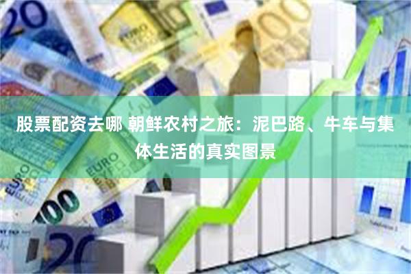 股票配资去哪 朝鲜农村之旅：泥巴路、牛车与集体生活的真实图景