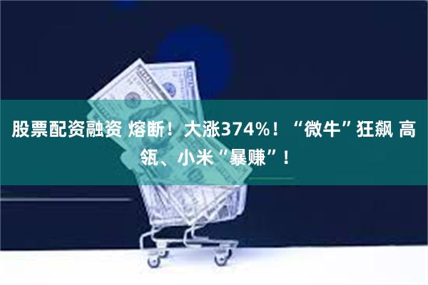 股票配资融资 熔断！大涨374%！“微牛”狂飙 高瓴、小米“暴赚”！