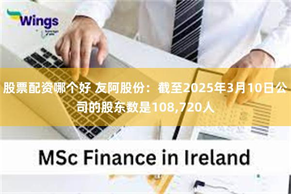 股票配资哪个好 友阿股份：截至2025年3月10日公司的股东数是108,720人