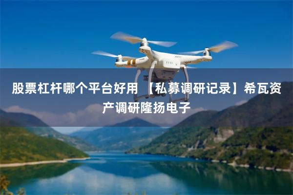 股票杠杆哪个平台好用 【私募调研记录】希瓦资产调研隆扬电子