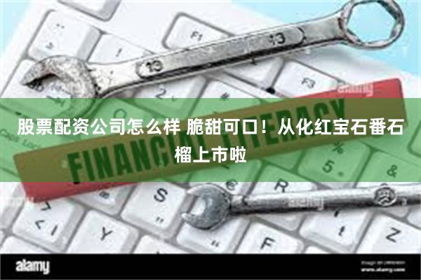 股票配资公司怎么样 脆甜可口！从化红宝石番石榴上市啦