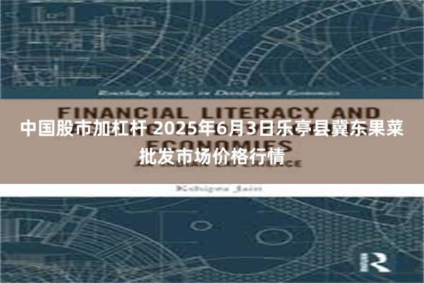 中国股市加杠杆 2025年6月3日乐亭县冀东果菜批发市场价格行情