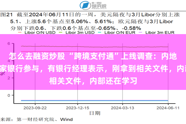 怎么去融资炒股 “跨境支付通”上线调查：内地香港各有6家银行参与，有银行经理表示，刚拿到相关文件，内部还在学习